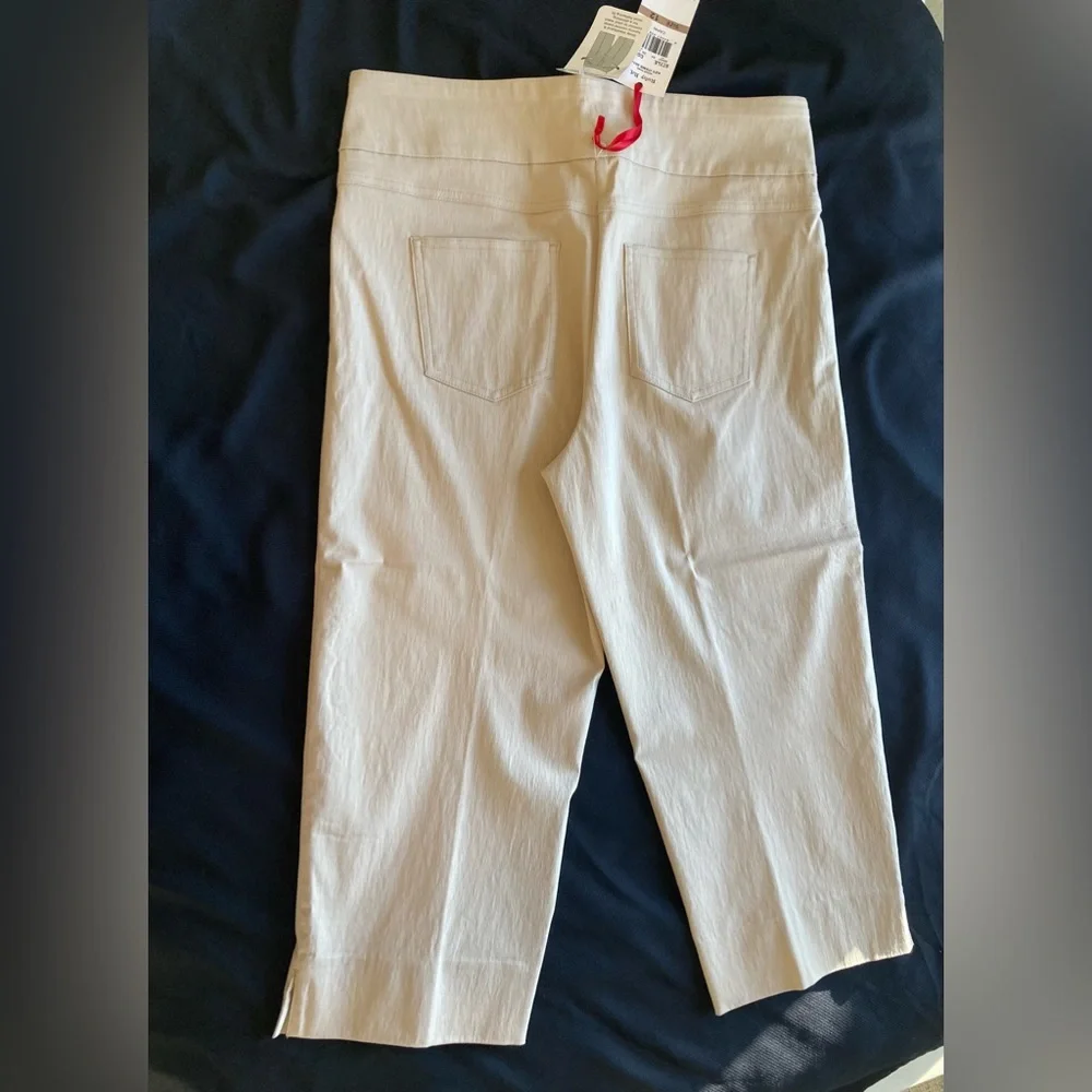 Ruby Rd Capri Pants Sz 12 NWT - Picture 6 of 12